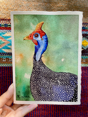 ROY OLIVER “ AVES “ ACUARELAS