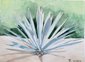 ROY RIVERA “XIII” AGAVE ACUARELA