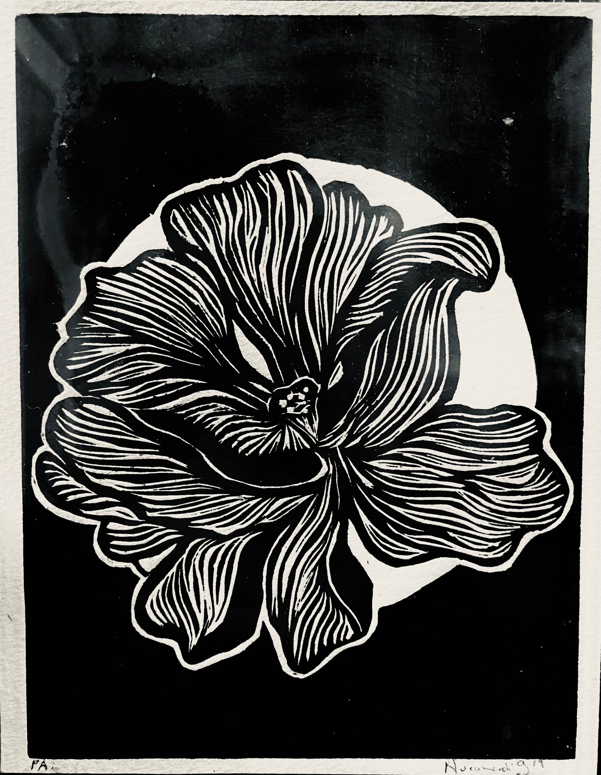 41E79BB6-FDEE-4336-A4F2-