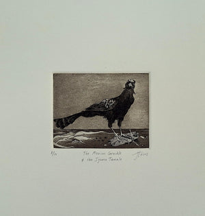 JEFF TOCCI “ THE MEXICAN GRACKLE & THE IGUANA TAMALE” GRABADO EN METAL