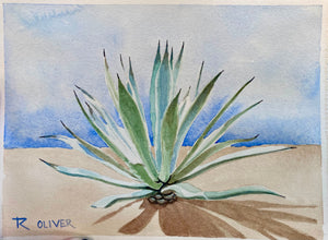 ROY RIVERA “XII” AGAVE ACUARELA