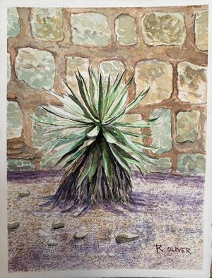 ROY RIVERA “S/T” ( AGAVE / CANTERA) ACUARELA