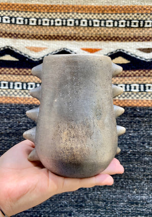 ANA MARTINEZ VASO POCHOTE