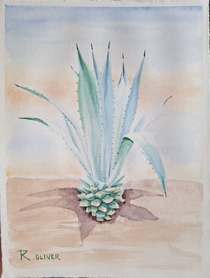 ROY RIVERA “S/T” (AGAVE JOVEN) ACUARELA