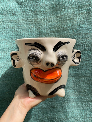 MACETAS DE PERSONAJES GRANDES/ CARA DE PLANTA / MACETAS POLICROMADAS
